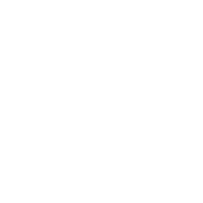 insragram Icon